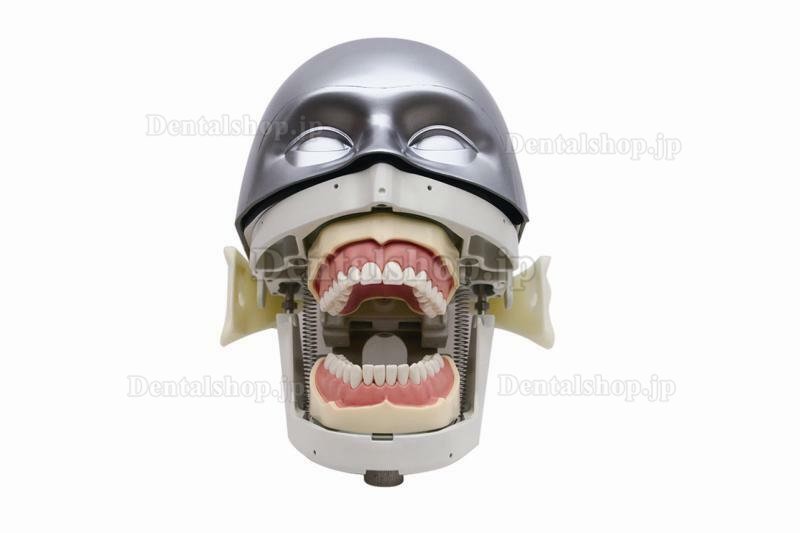 Jingle JG-C4 歯科手術実践モデルヘッド シミュレーションファントムヘッド 歯科用チェアに取り付ける